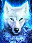 Wolf fan club/gathering
