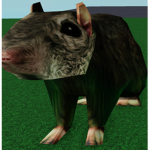 random games stuido