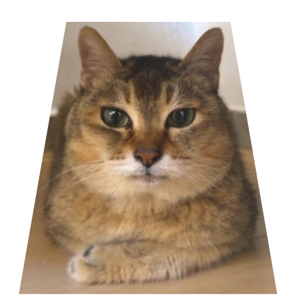 Mei Mei / Tole Tole Cape