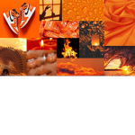 The Orangeeeee Squad