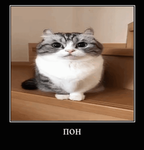 Dima_od