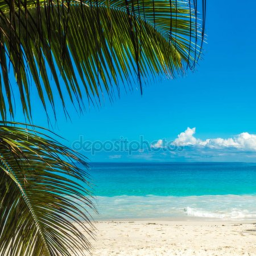 Roblox Beach [Map Remake]
