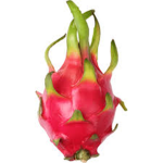 Dragon Fruit Nation