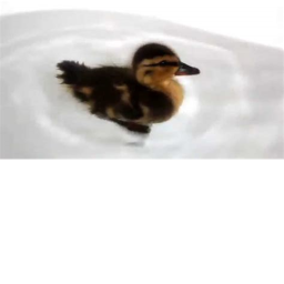 Happy duck game