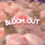 bloom out