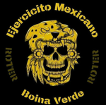 1ER BATALLÓN DE FUERZAS ESPECIALES.