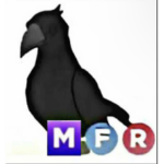 37kvinnies fan base Group Thumbnail