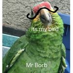 Kbrr is Vool