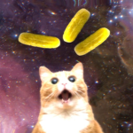 Mystical Pickle Club