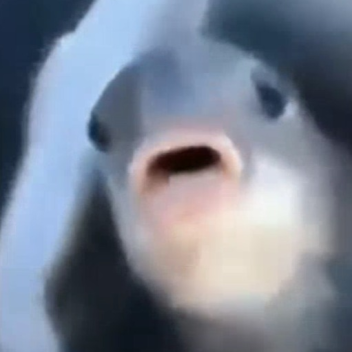 🐟[Update 1.13] Killer Fish Horror Game🐟