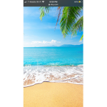 Beach Savers