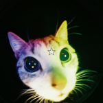 KeepMeowing
