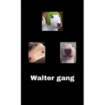 The Walter boys