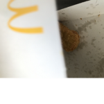 mid nugget looking like a squirrel