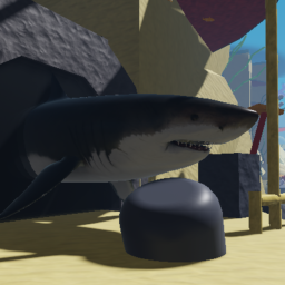 (🦈 Shark Update 🦈)Shark Game