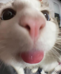 LĒM0N$