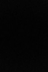 Dimmed