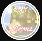 NoTeamz RBLX fan club