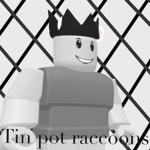 Tin pot raccoons