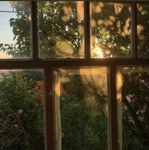 Cornelia's Garden