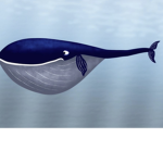 Blubber bacon
