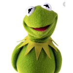 FROGGY QUEENS\KINGS