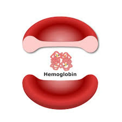 hemoglobin Roblox group icon