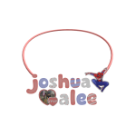 joshua & alee