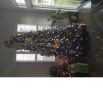 robux for cocommn