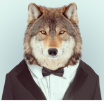 The Wolf Pack_NY
