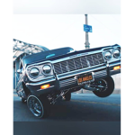 Is cool being beast