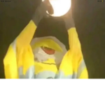 cult king bob