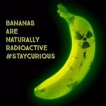 RADIO ACTIVE BANANA