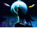 life chat hub