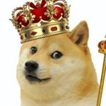 Stinky dog