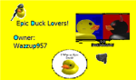 Epick Duck Lovers!