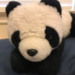 CLAN OF PANDA