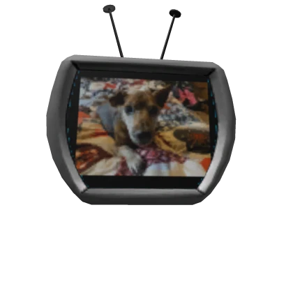 Item Thumbnail