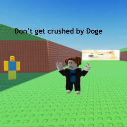 Don't get crushed by Doge