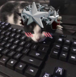 プラムズ。