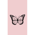 ~ delaney’s angels ~