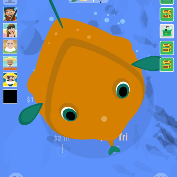 Fisch Fisch Shop 