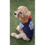 Cool kid doggo