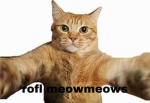 rofl meowmeows