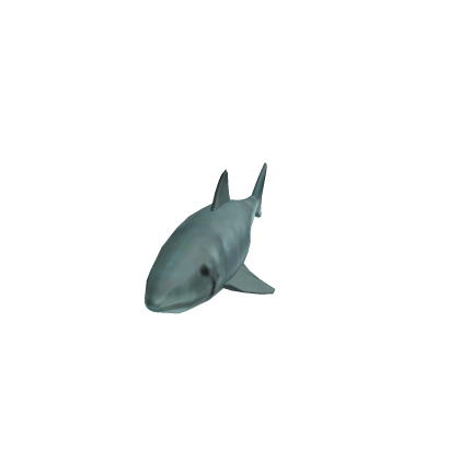 Shark [Nonabuse]