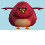 The Biggest bird Following