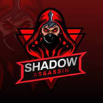 Shadow Assasins Studios