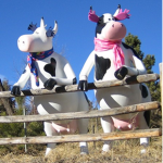 The Greater Cow Republic