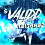 VALIDD!