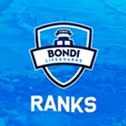 [CHECK RANK] Bondi Rank Management